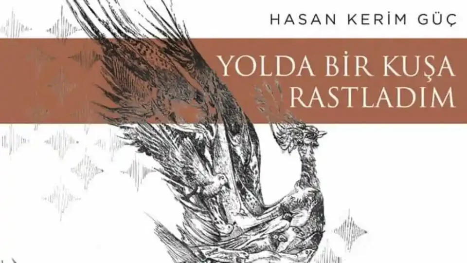 yolda bir kuş