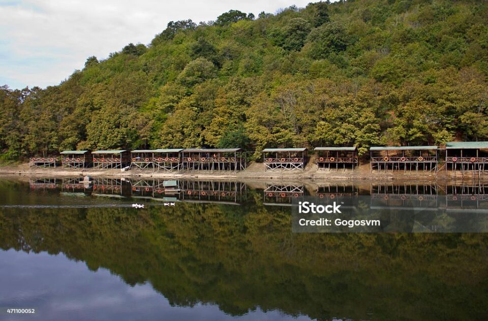 Ağva