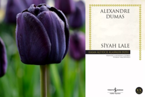 Siyah lale alexsandre dumas