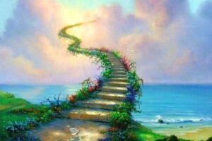 UMUDA ARALANAN KAPILAR