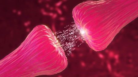 Parkinson Hastalığında Üç Cepheden Umut: İlaç, Hücre ve Gerçekler